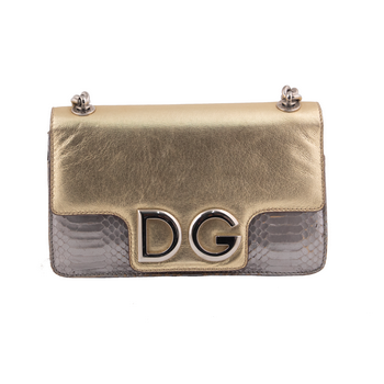Silver/Gold DG Logo Bi-color Satchel Shoulder Bag