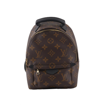 Brown Monogram Palm Springs Mini Backpack Crossbody bag