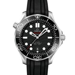 DIVER 300M CO‑AXIAL MASTER CHRONOMETER 42 MM