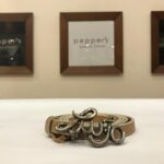 LEATHER BELT LIU.JO SIZE S