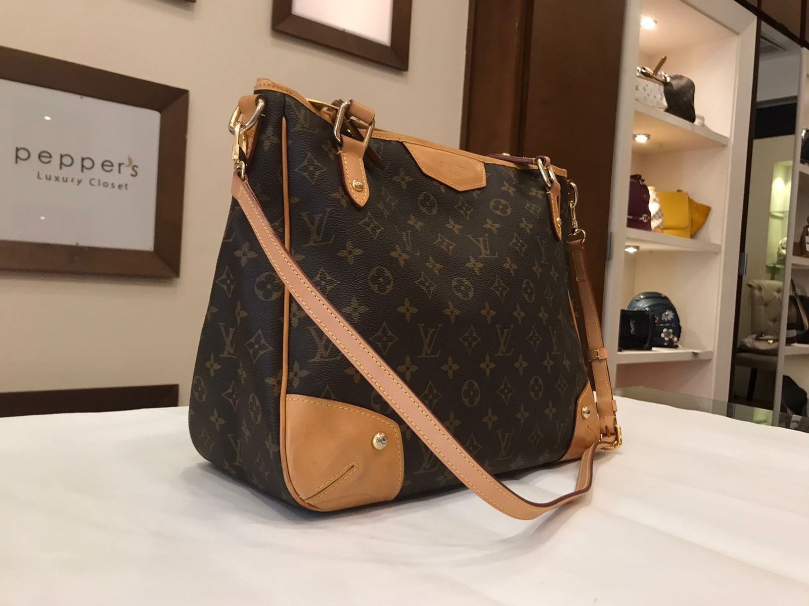 Louis Vuitton Estrella MM Brown Monogram Canvas Tote Bag